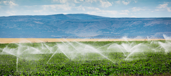 Agricultural Water Infrastructure Program